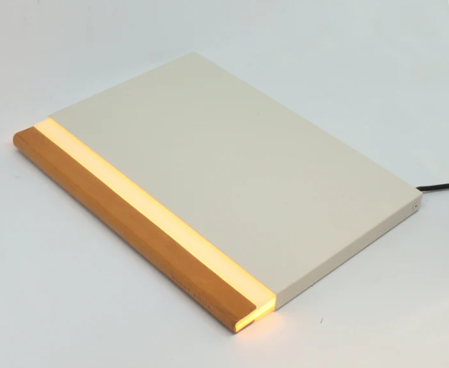 Nightbook LED Book Light