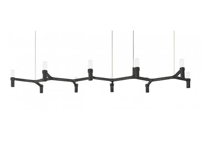 Crown plana linea by Nemo