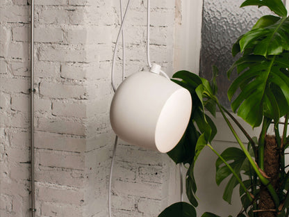 Aim Small White